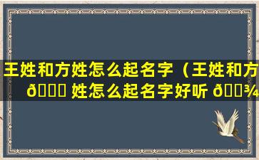 王姓和方姓怎么起名字（王姓和方 🍀 姓怎么起名字好听 🌾 ）